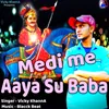 About Medi Me Aaya Su Baba Song